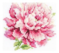 Magic Needle 150-007 ZW Rfingstrose Kreuzstichset mit Zählmuster Zweigart Edition, Baumwolle, multifarbig, 11x11cm