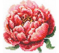 Magic Needle 150-009 ZW Rote Pfingstrose Kreuzstichset mit Zählmuster Zweigart Edition, Baumwolle, multifarbig, 11x11cm