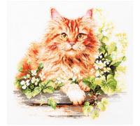 Magic Needle Kreuzstich Stickpackung "Die rote Katze", Zählmuster, 26x26cm