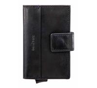 Maître Birkenfeld C-Two E-Cage sv8 Blue