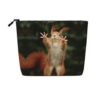 Make-up-Tasche mit Eichhörnchen-Motiv, lustige Tier-Druck, tragbare Kosmetiktasche, Kulturbeutel, geräumiger Reise-Make-up-Organizer, Schwarz , Einheitsgröße