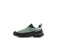 Mammut Alnasca IV Low GTX Men - wasserdichter, niedriger Zustiegsschuh deep silver sage-pinea 11 UK / 46