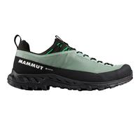 Mammut Alnasca IV Low GTX Men - wasserdichter, niedriger Zustiegsschuh deep silver sage-pinea 11.5 UK / 46 2/3