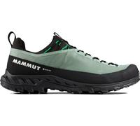 Mammut Alnasca IV Low GTX Men - wasserdichter, niedriger Zustiegsschuh deep silver sage-pinea 10.5 UK / 45 1/3