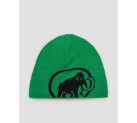 Mammut Tweak Beanie Unisex Mütze 119101352-40313 Grün UNI
