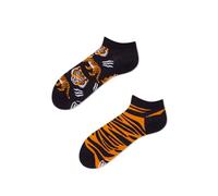 Many Mornings FEET OF THE TIGER LOW-35-38