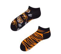 Many Mornings FEET OF THE TIGER LOW-43-46