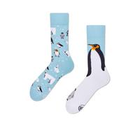 Many Mornings - Frosty Friends - Pinguine, Eisbär (43-46) - Unisex - Socken - 1 Stück - Blau - One Size