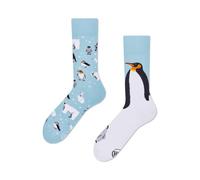 Many Mornings - Frosty Friends - Pinguine, Eisbär (43-46) - Unisex - Socken - 1 Stück - Blau - One Size