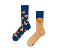 Many Mornings Lustige Bunte Socken Damen Herren 39-42 Golden Boy Hunde Motivsocken Unisex Labrador Design Ungleiche Socken Ausgefallene Baumwollsocken für Hundefans