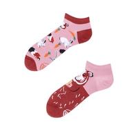 Many Mornings MISS GUINEA PIG LOW-39-42