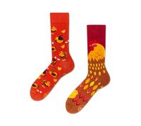 Many Mornings - Golden Eggs - Hühner, Küken, Eier - Mismatched Socks (as3, numeric, numeric_39, numeric_42, regular, regular)