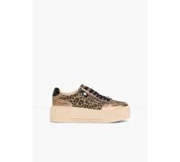 Marco Tozzi 2-23728-46-4B9 Braun Leo dune comb. 4B9 EU 40