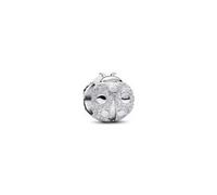 Pandora Charm Moments 794527C00