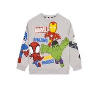 Marvel Spidey and His Amazing Friends Sweatshirt Jungen, Grauer Jungen Pullover Langarm aus Baumwolle, bequemer Pullover Kinder 140
