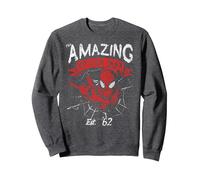 Marvel The Amazing Spider-Man Grunge Sweatshirt, Unisex für Erwachsene, Anthrazit Meliert, S