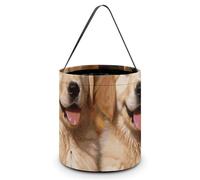 [Maße: 20 x 21 x 18 cm (B x L x L); Halloween-Tragetasche, Golden Retriever, Hunde, Welpen, Haustiere, bedruckte Süßigkeitentüten - wiederverwendbar für Partys und Geschenke