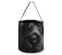 [Maße: 20 x 21 x 18 cm (B x L x L); Halloween-Tragetasche, schwarzer Schnauzer-Hund, bedruckte Süßigkeitentüten - wiederverwendbar für Partys und Geschenke
