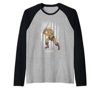 Masters Of The Universe - He-Man Distressed Flagge Raglan