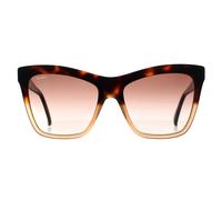 Max Mara Cat Eye Damen Havanna Fade Braun Farbverlauf MM0008 Logo2 Einheitsgröße