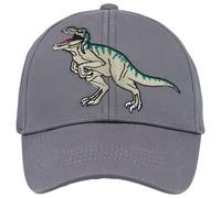 maximo - Boy's Cap Dino Stickerei Klettverschluss - Cap, Gr. 49 cm-51 cm 49-51 cm, grau (Grau/Blau)