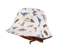maximo Sonnenhut Dinos 47 natur/bunt