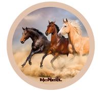 McNeill Motivmagnet McAddy 038 – Pferdegruppe (3er Gruppe)