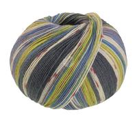 Lana Grossa Meilenweit 100 g SETA GIAPPONE 4-fach Sockenwolle mit Seide 400 m, Farbe:3387 - Dunkelgrau/Ecru/Terrakotta/Limette/Mausgrau/Pistazie