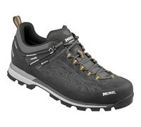 Meindl Herren Literock Free GTX Schuhe (Größe 41.5, grau)