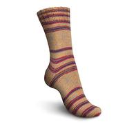 Meine Wollfee Schachenmayr Regia Wellness Color Sockenwolle (Energy Boost Color 01309)