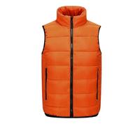 meiodtion Herren Winterweste Steppweste Leicht Stehkragen Winterweste Outdoor Dicke Freizeitweste mit Reißverschluss Softshell Ärmellose Gilet Jacke Wärme Sport Weste Winterjacke Herren übergangsjacke