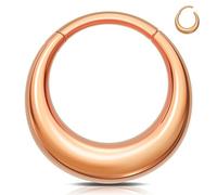 Melighting Septum-Ring aus 316L-Edelstahl, Knorpelohrring, Scharniersegment-Creolen, Nasenpiercing, Schmuck für Damen und Herren, 8 mm, Edelstahl