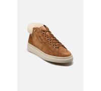 Mephisto Dolie Brown / Women - 39.5