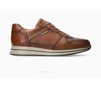 Mephisto Gerome Brown / Herren - 47