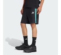 MERCEDES - AMG PETRONAS FORMEL 1 TEAM DNA SHORTS Black / Semi Mint Rush XS