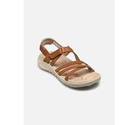 Merrell Harbor Backstrap Women's,Hazel 41 EU