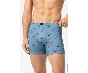 Mey Mey X Loriot Unterhose Central Lake, Gemustert