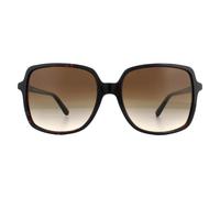 Michael Kors Square Womens Dark Tortoise Smoke Gradient de soleil Lunettes de soleil Einheitsgröße