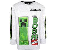 Minecraft - Grau Sweatshirt Geschenke für Jungen Pyjamas - Gaming Merchandise Geburtstag Spiel Tshirt Fanartikel - Alter 9/10