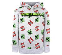 Minecraft - Grauer Hoodie für Jungen - 100% Baumwolle, Creeper-Hoodie Geschenke (9-10 Jahre)