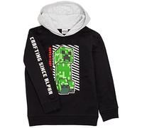 Minecraft Kapuzenpullover für Jungen Sprites und Creeper Motiv Optionen | Schwarzer Grafik Hoodie für Kinder und Jugendliche | Steve, Skelett, Zombie Adventure Creeper 12-13 Jahre