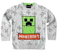 Minecraft Kinder Pullover Pulli für Jungen + Mädchen in grau Gr. 128 für 8 Jahre