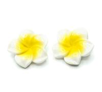 Miniblings Frangipani Blumen Ohrclips Clips Pulmera Surfing Blume Sommer weiß - Handmade Modeschmuck I Ohrhänger Ohrschmuck