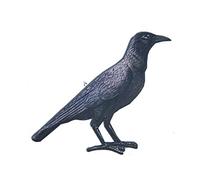 Miniblings Rabe bedruckt Brosche Holz Rabe Schwarz Krähe Mystik schwarz - Handmade Modeschmuck I Anstecknadel Button Pins