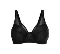 Minimizer-BH mit Mesh 95