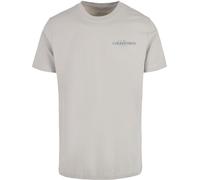 Mister Tee T-Shirt The Classics Collection Tee MT3330 Lightasphalt-5XL