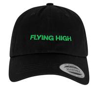 Mister Tee Upscale Flying High Dad Kappe