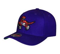 Mitchell & Ness NBA Toronto Raptors Team Ground Cap Einheitsgröße