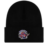 Mitchell & Ness NBA Toronto Raptors Teamlogo Mütze Einheitsgröße