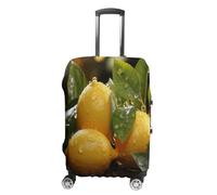 MNVTSKOP Fresh Lemon Gepäckhüllen, kratzfest, waschbar, Kofferabdeckung, Polyester, elastisch, Reisegepäckschutz für Kofferschutz, weiß, XL